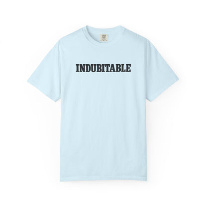 Indubitable vocab tee