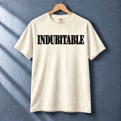 Ivory Indubitable tee with bold black slab-serif lettering on a hanger against a blue-gray wall.