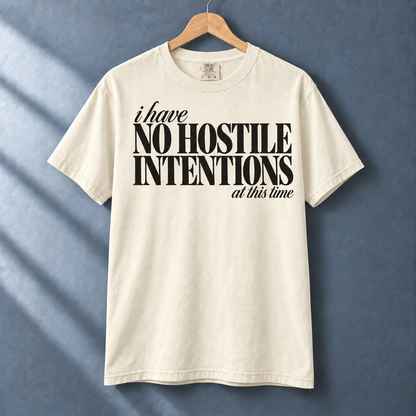 Ivory I Have No Hostile Intentions tee with black typography on a hanger against a blue-gray wall.